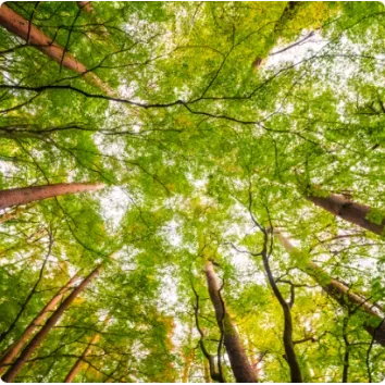 La Science au service du climat