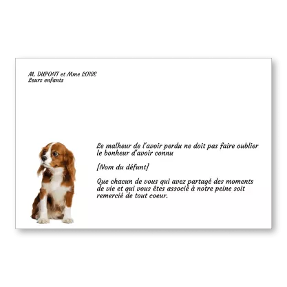 Carte De Remerciement Chien Terre-Neuve (6 X 4 Po.) Avec Enveloppe - Vierge à L'intérieur Pour Votre Propre Message. Parfait Pour Tous Les