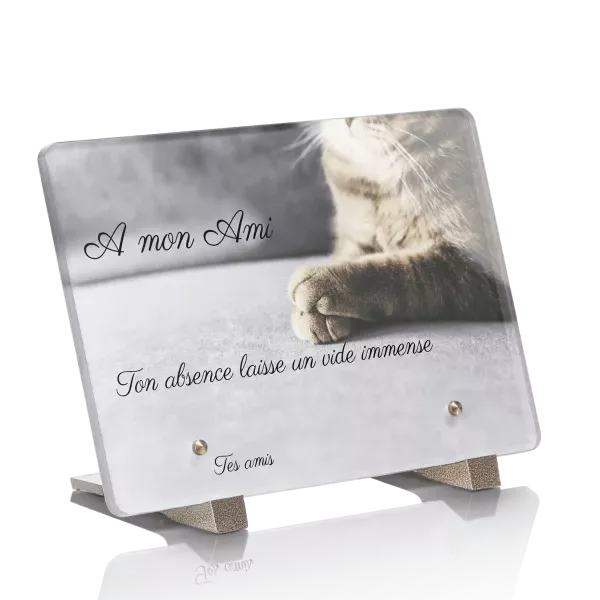 Plaque Funéraire Personnalisée Pour Chat – Pierre Tombale En Acier Inoxydable, Dimensions 10 Ou 12 Pouces