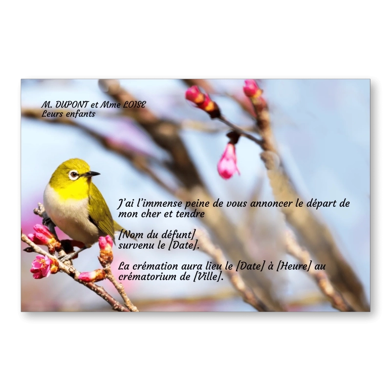 Faire part de Décès Oiseau Faire part de Décès Oiseau