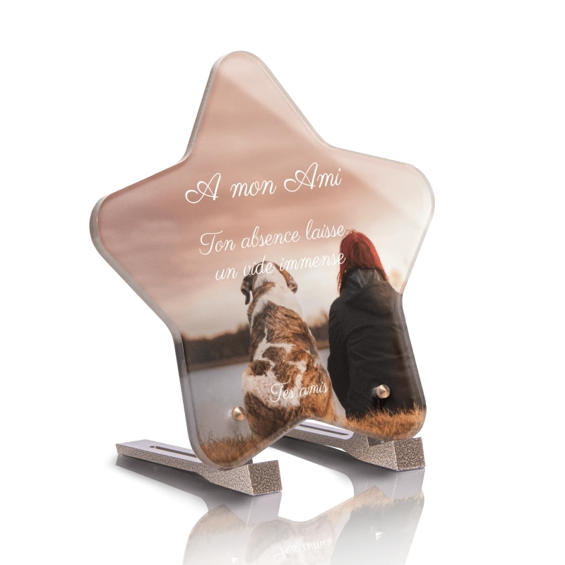 Plaque Funéraire Originale Etoile Chien Ami Plaque Funéraire Originale Etoile Chien Ami