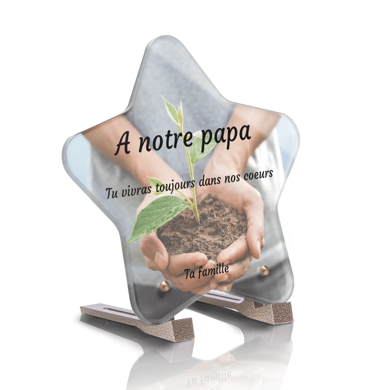 Plaque Funéraire Contemporaine Etoile Plante Plaque Funéraire Contemporaine Etoile Plante