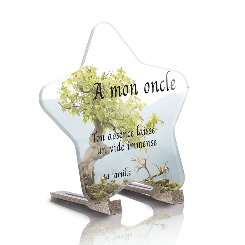 Plaque pour tombe Etoile Bonzai Plaque pour tombe Etoile Bonzai