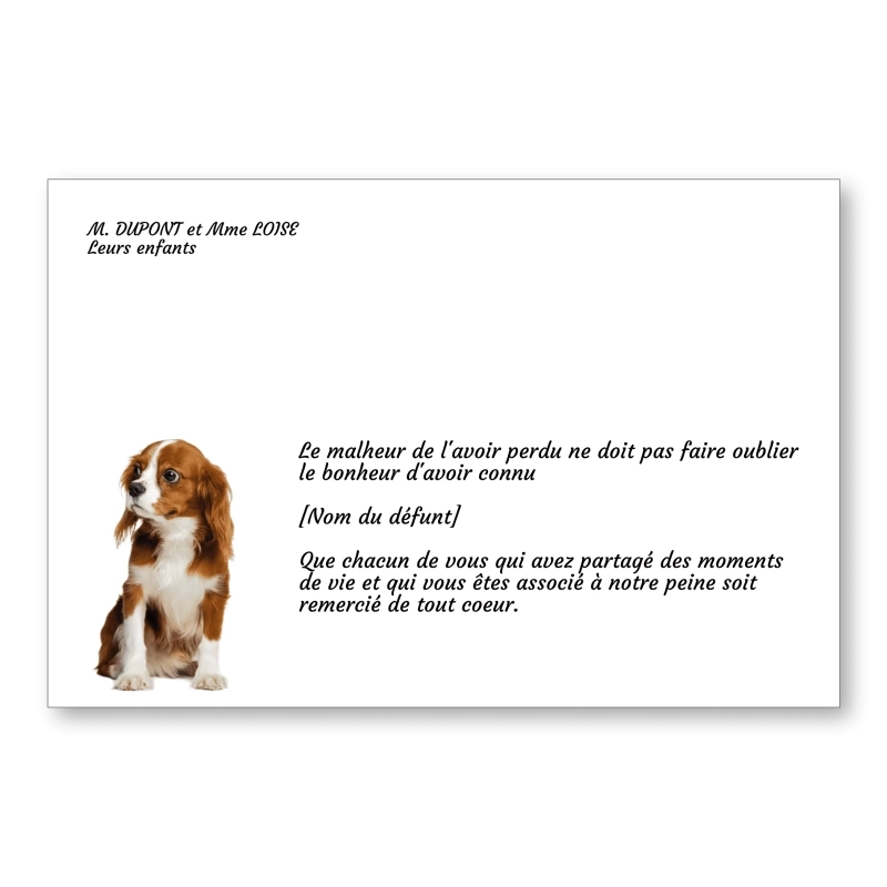 Carte de Remerciement Décès Chien