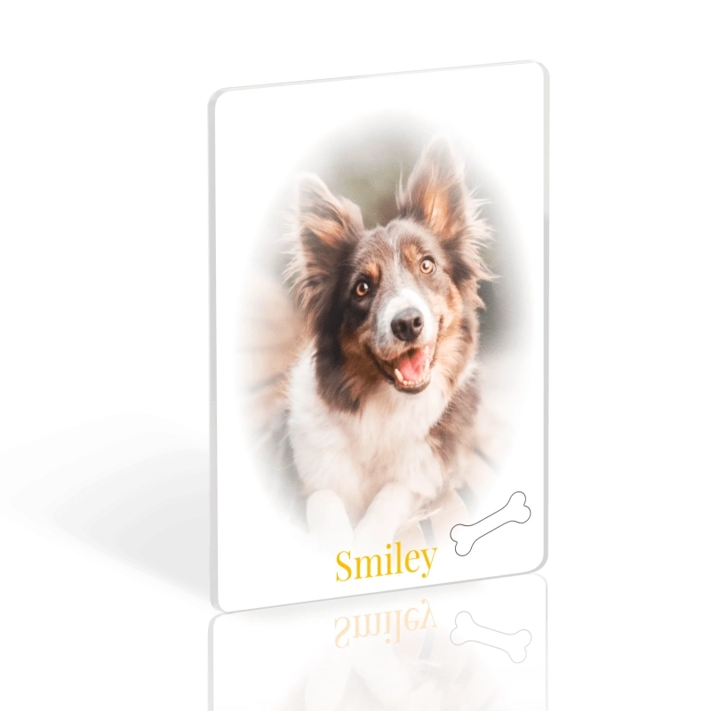 Médaillon Funéraire Animaux Rectangle Chien