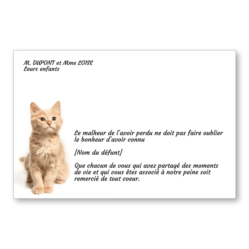 Carte de Remerciement Décès Chat 2