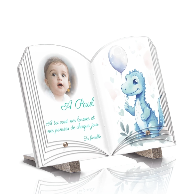 Plaque Funéraire Livre Enfant Dinosaure