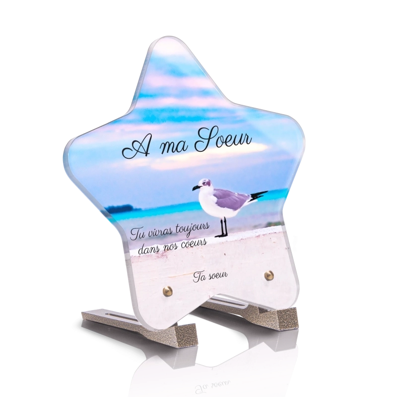 Plaque Funéraire Etoile Mouette 2 Plaque Funéraire Etoile Mouette 2