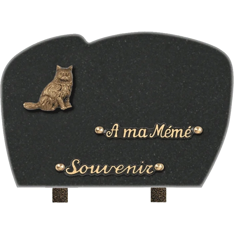 Plaque funéraire granit Nuage Chat 30x20cm (Standard)