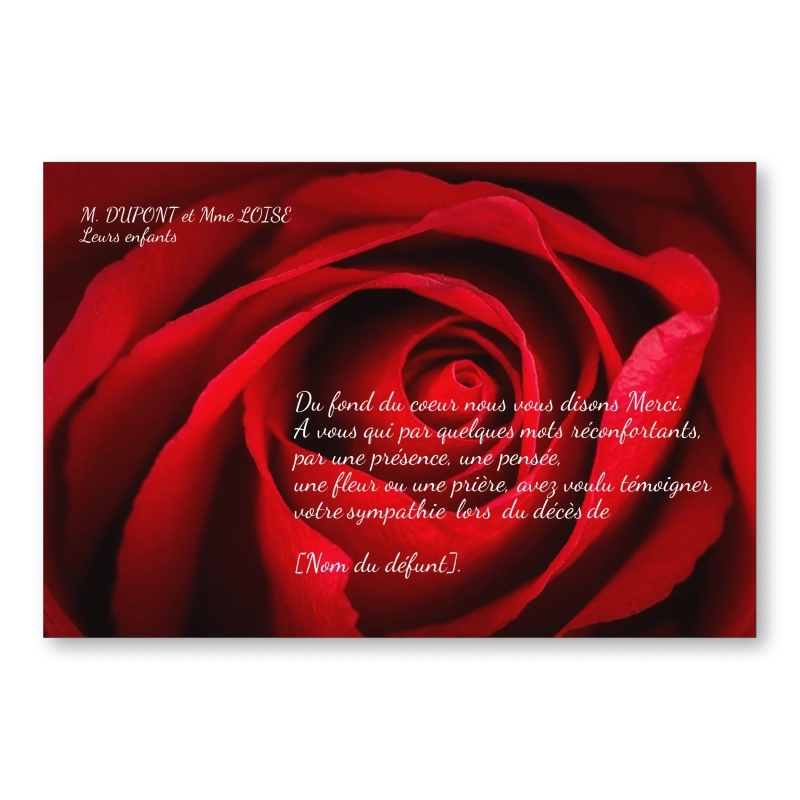 Carte de Remerciement Décès Rose Rouge Amour