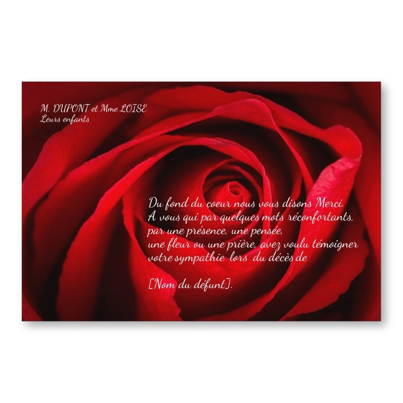 Carte de Remerciement Décès Rose Rouge Amour Carte de Remerciement Décès Rose Rouge Amour