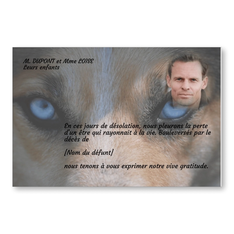 Carte de Remerciement Décès Yeux Animal