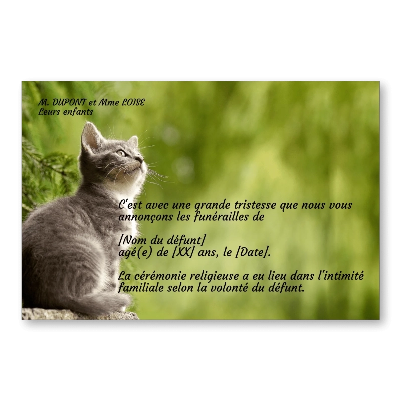 Faire Part de Décès Chat Faire Part de Décès Chat
