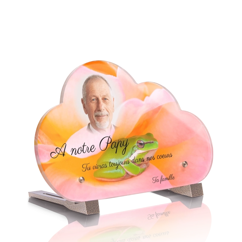 Plaque Funéraire Nuage Grenouille Plaque Funéraire Nuage Grenouille