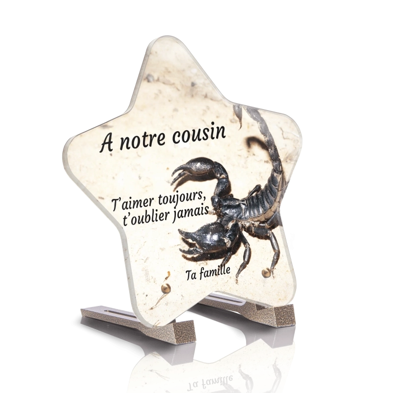 Plaque Cimetière Etoile Scorpion Plaque Cimetière Etoile Scorpion